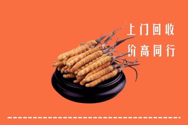 高价求购：烟台市回收散虫草