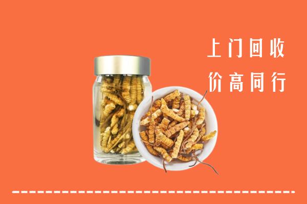 烟台市回收冬虫夏草